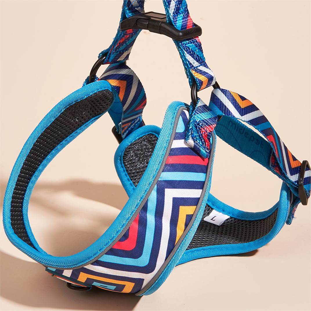Heart Pattern Dog Harness for Small Dogs