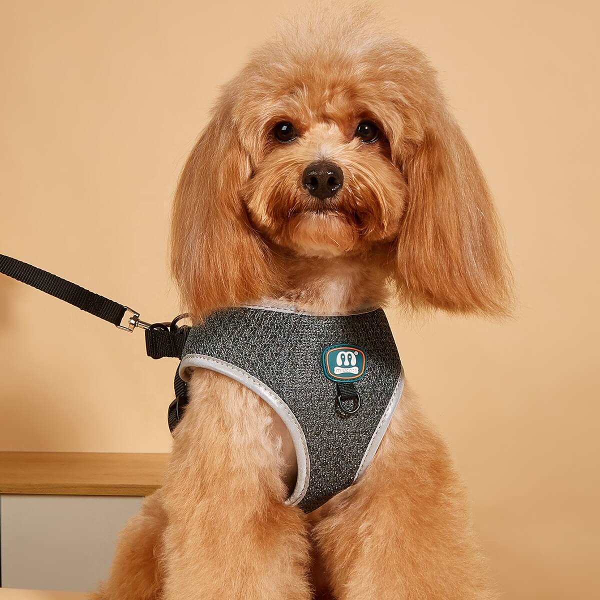 Frosted Texture Dog Harness