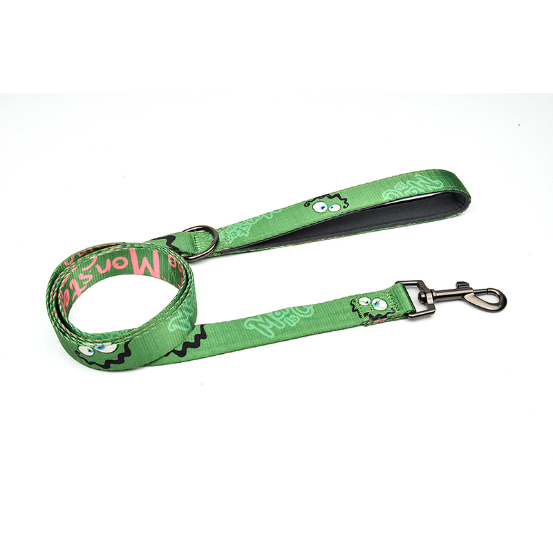 Monster is Coming Series Leash