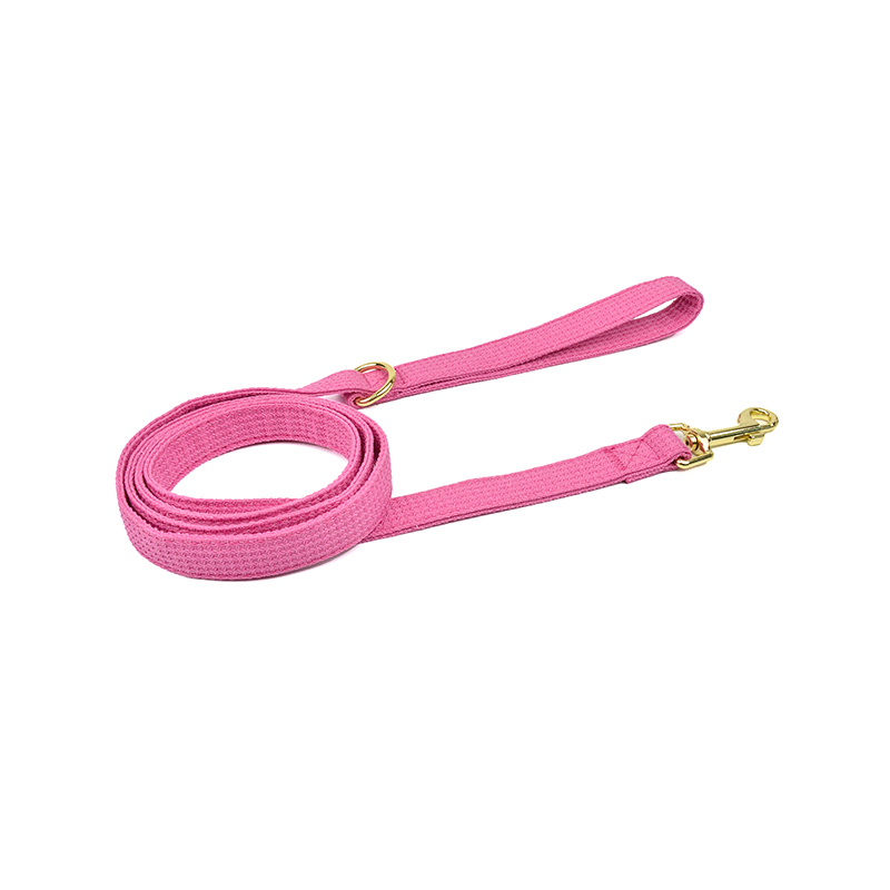 Solid Color Patterned Leash