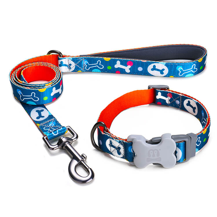 Bone Print Dog Collar With Leash Kit