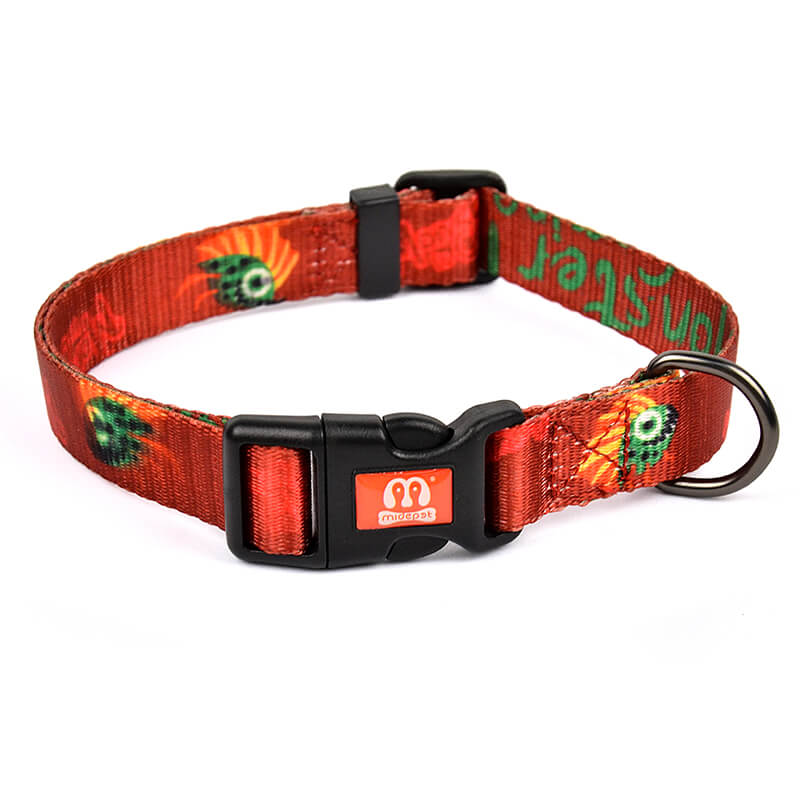 Monster is Coming Series Collar