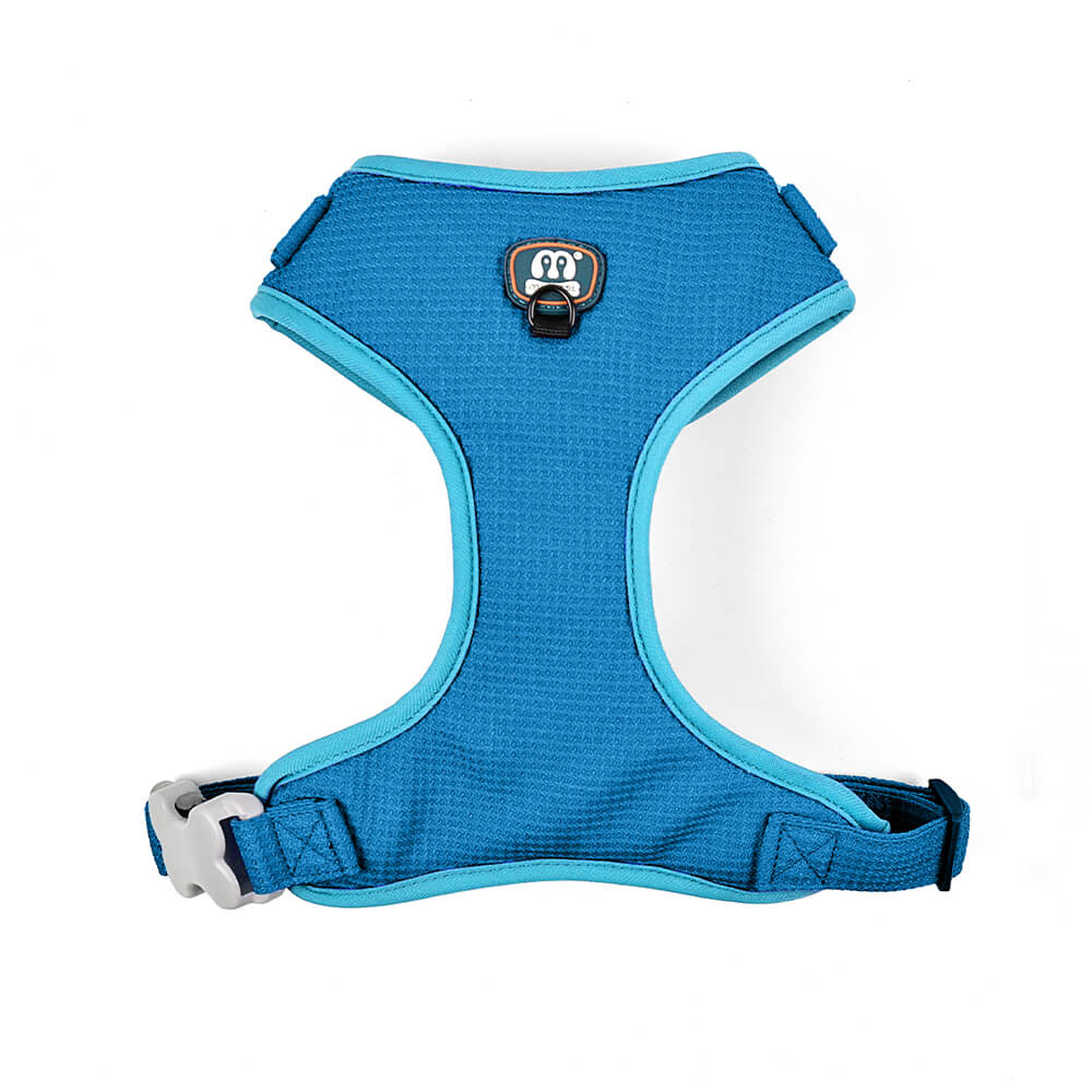 Solid Color Patterned Harness