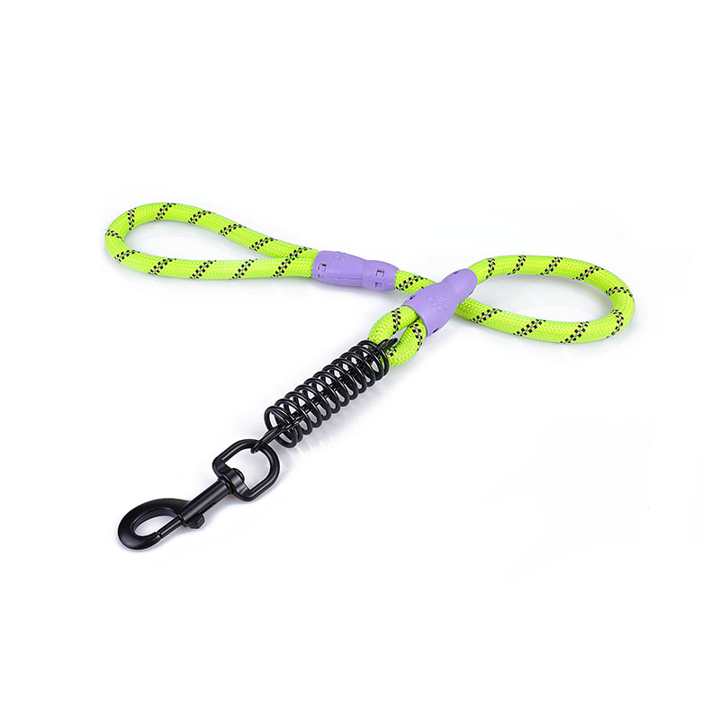 Shock Bsorbing short Leash for large dogs