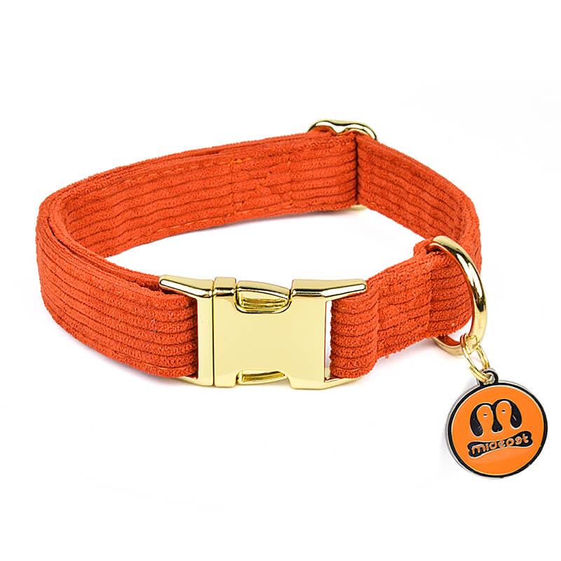 Pet Outing  Corduroy Collar