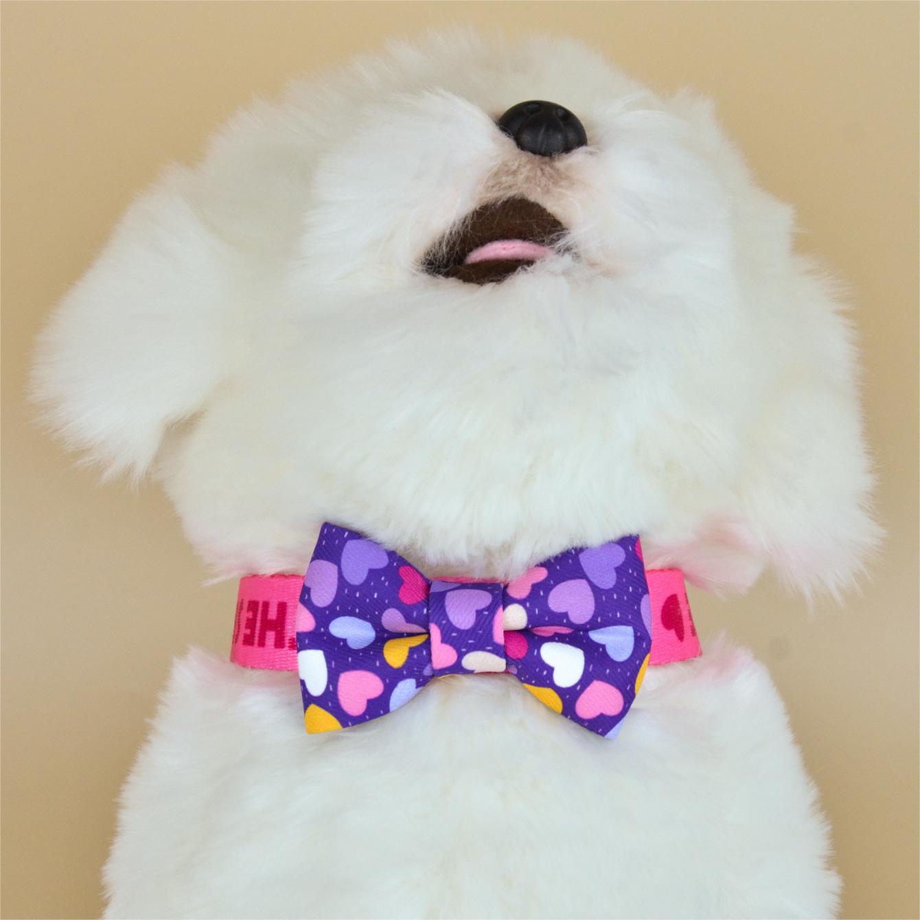 Color Blooming Series Bow Tie