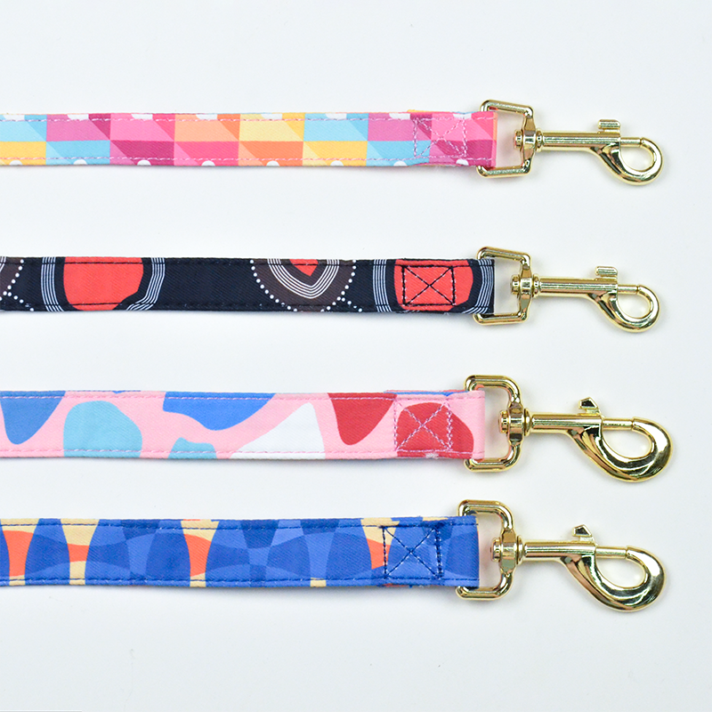 Colorful doodle dog leash