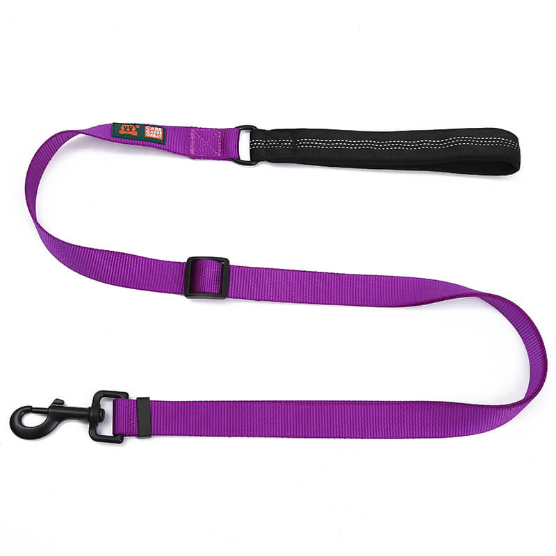 Nylon Handle Solid Color Dog Leash