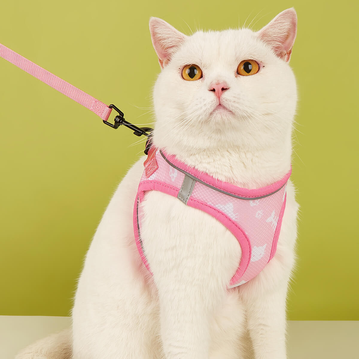 Full Body Escape Proof Cat Harness and Leash