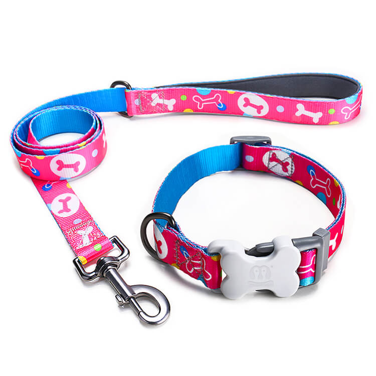 Bone Print Dog Collar With Leash Kit