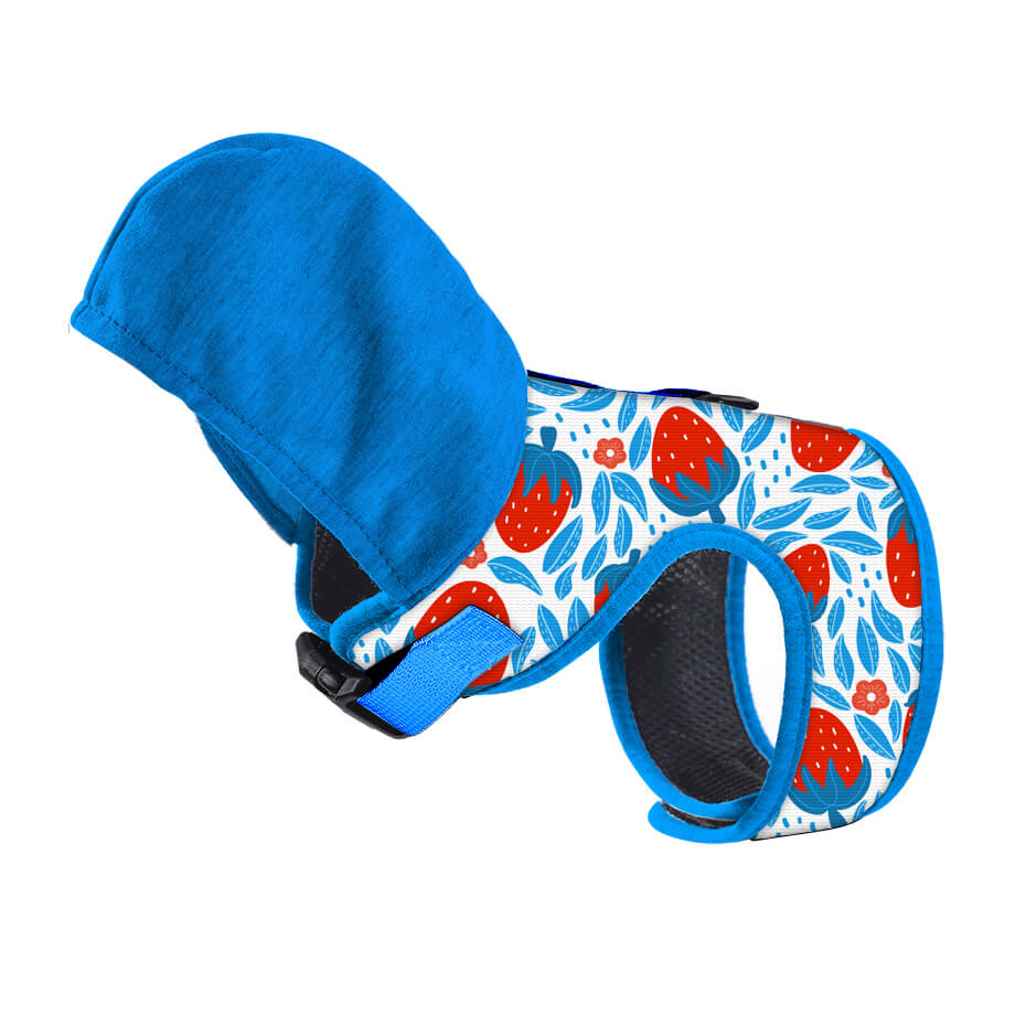 Cartoon Pattern Hooded Dog Harenss