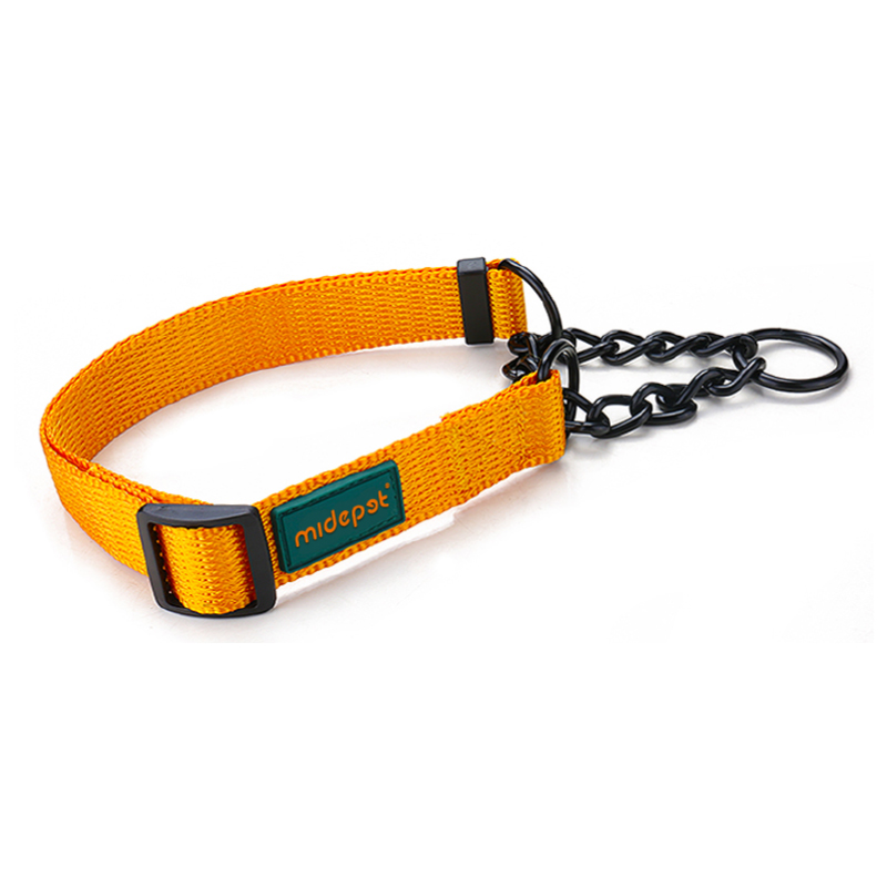 Martingale Collar Coild Color