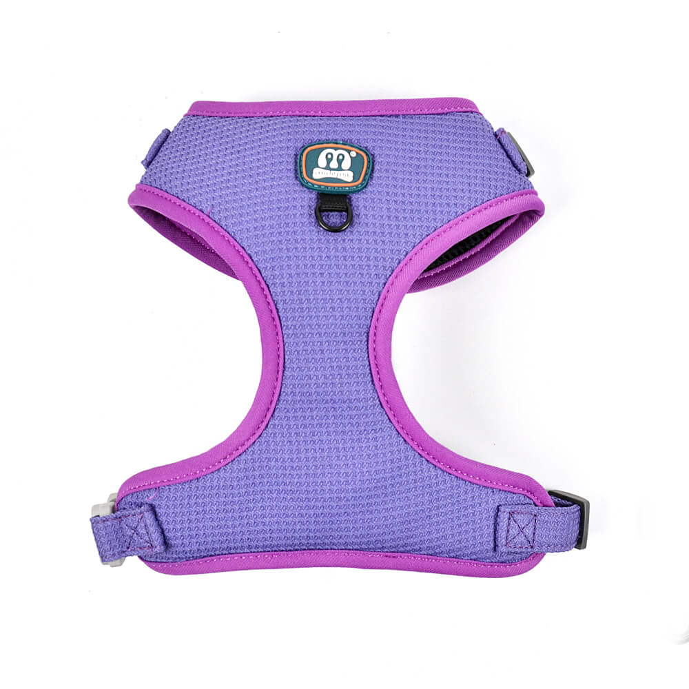 Solid Color Patterned Harness