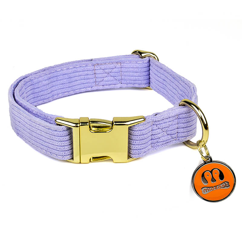 Pet Outing  Corduroy Collar