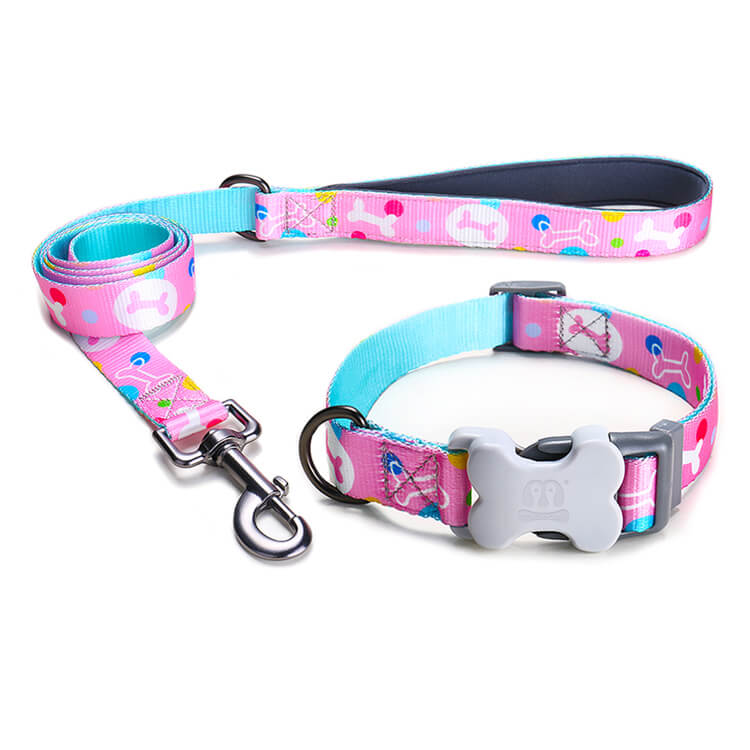 Bone Print Dog Collar With Leash Kit