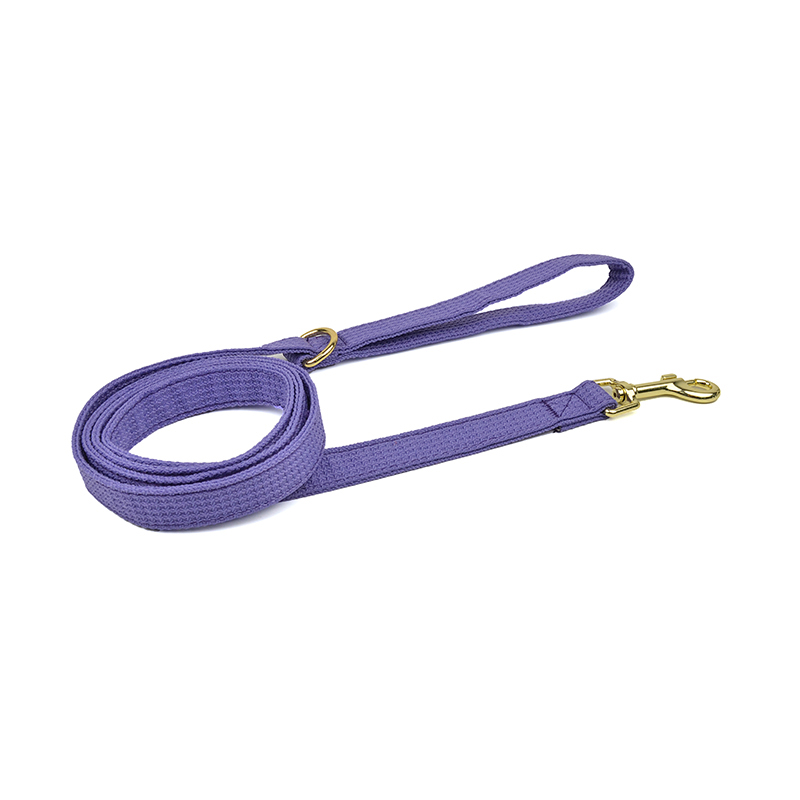 Solid Color Patterned Leash