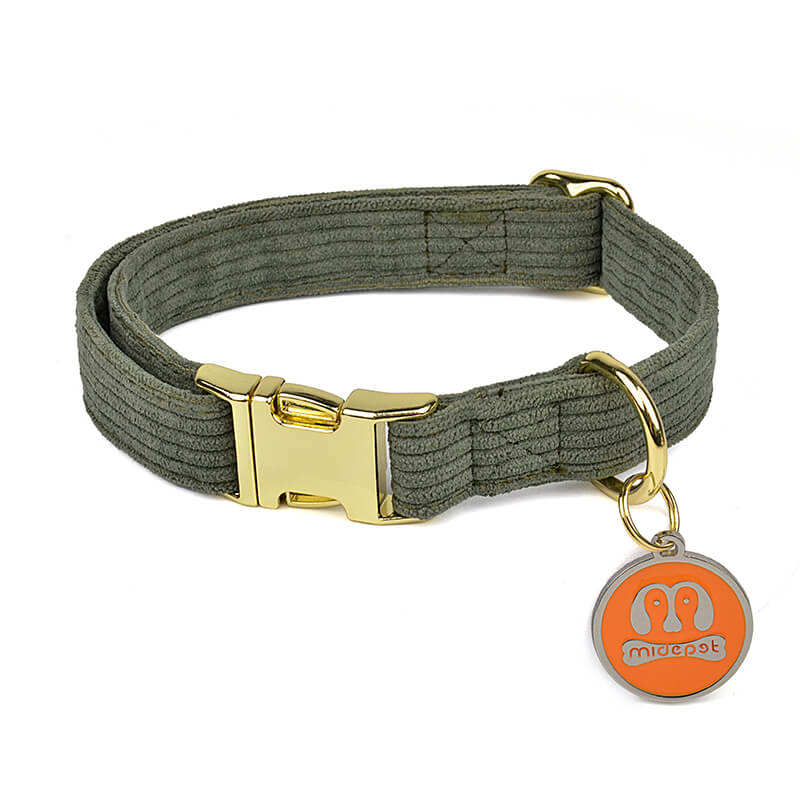 Pet Outing  Corduroy Collar