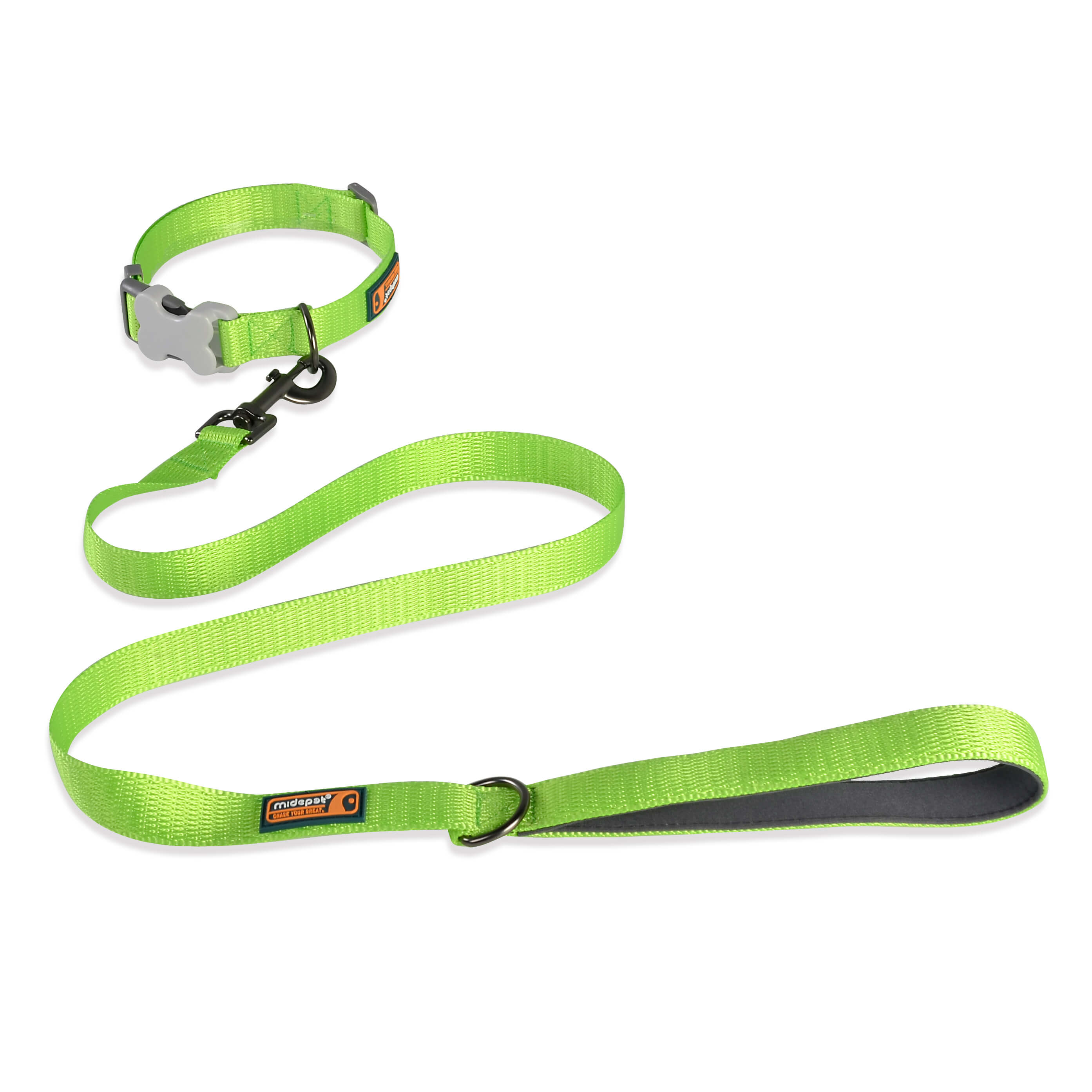 Nylon Solid Color Collar with Leash Kit