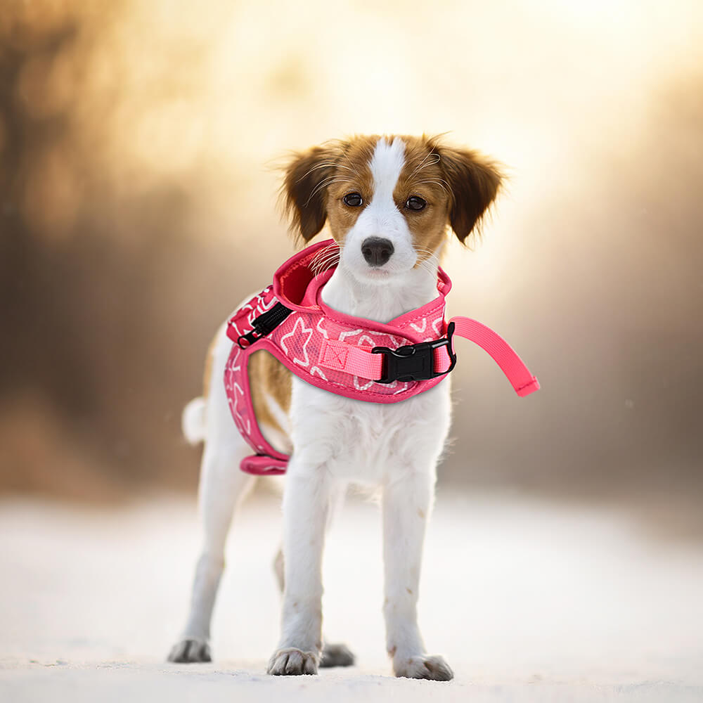 Dog Hooded Harness with Poop Bag Holder Pink