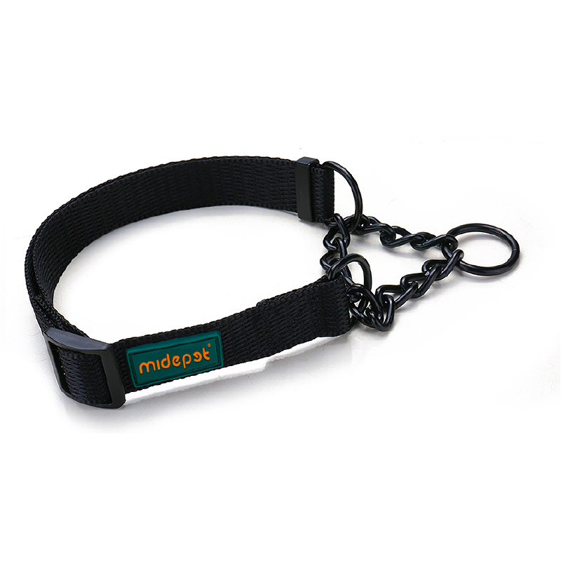 Martingale Collar Coild Color