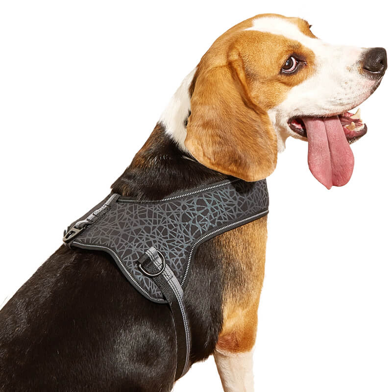 U Shaped Reflective Harness for Large Dog