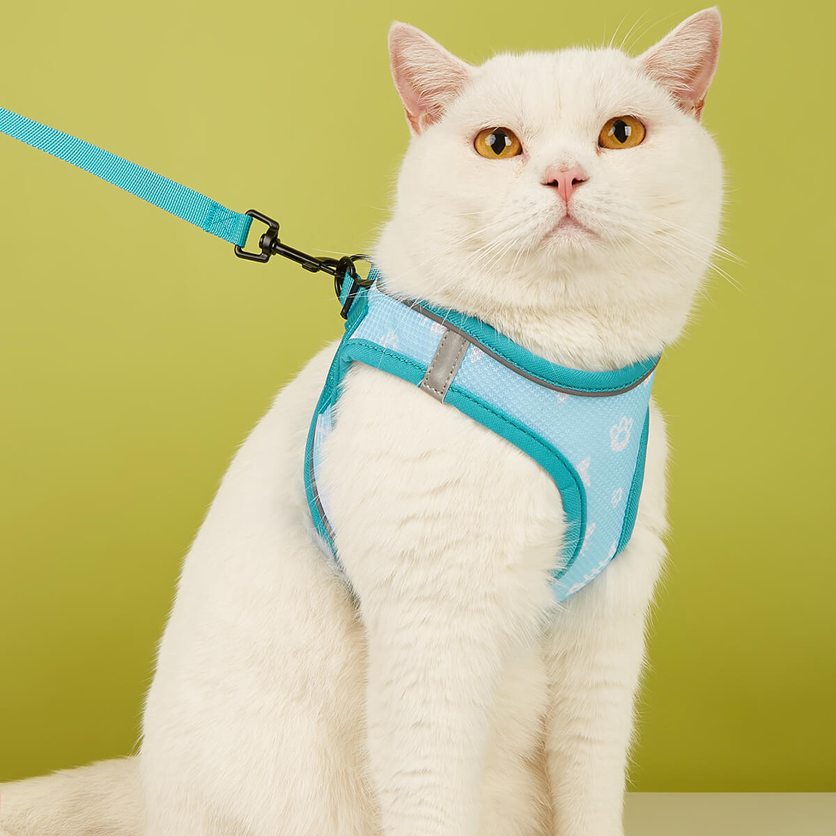 Full Body Escape Proof Cat Harness and Leash