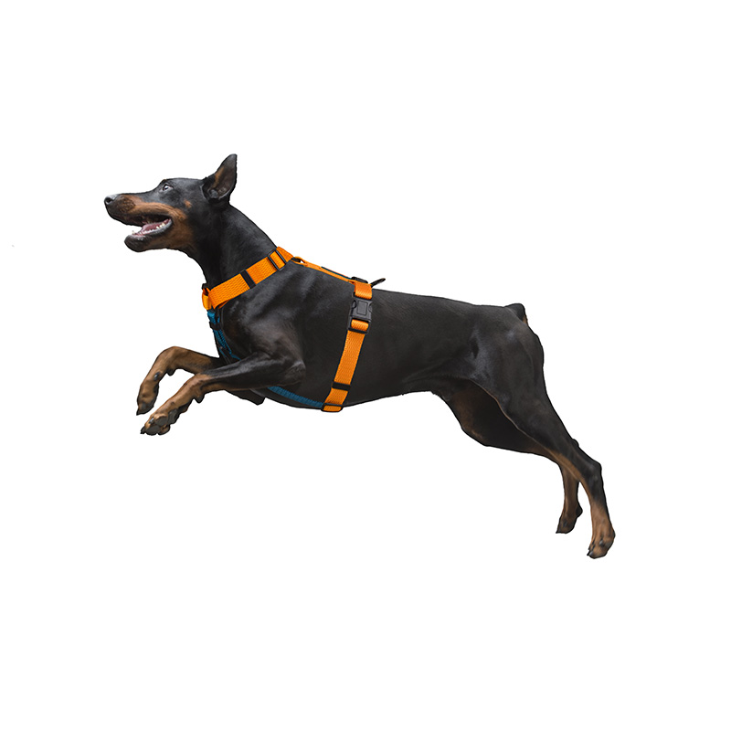 Solid Color Design H Dog Hanress 