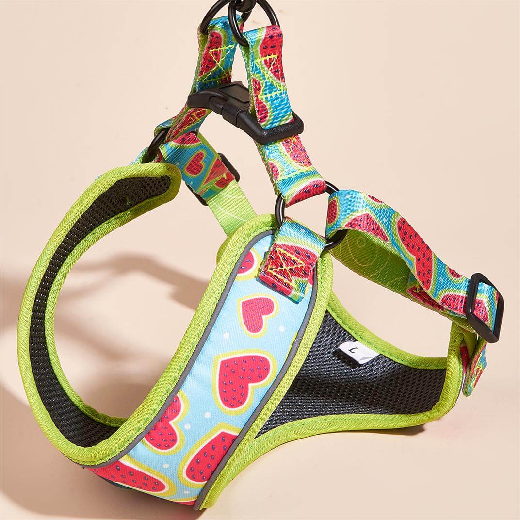 Heart Pattern Dog Harness for Small Dogs