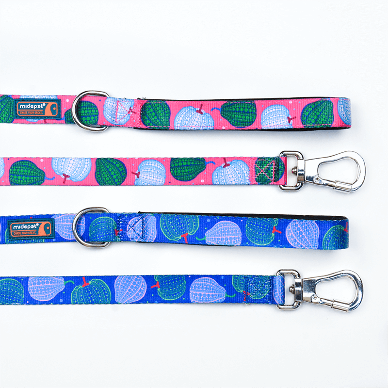 Pumpkin Double Sided Printed Dog Leash