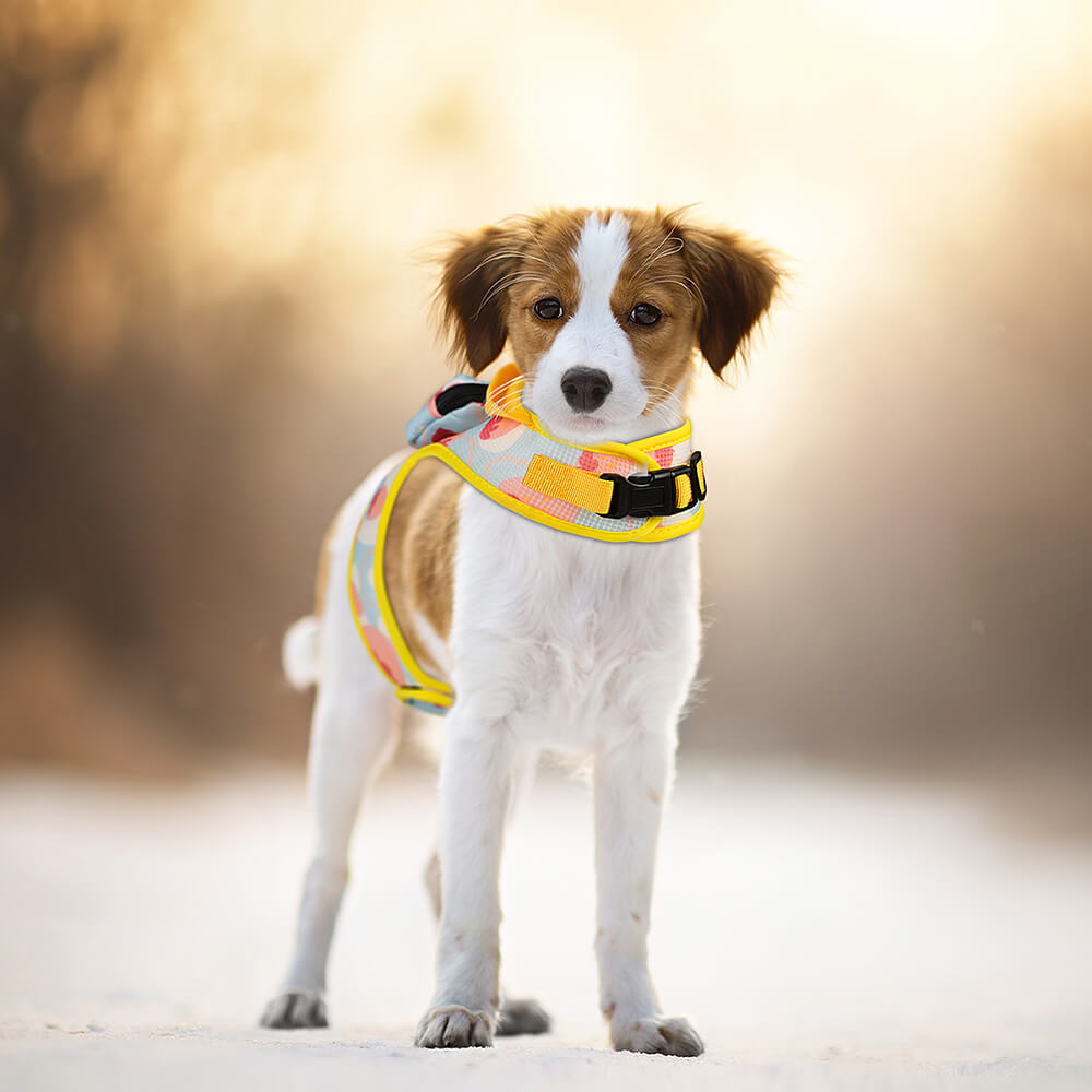 Dogs Hooded Harness with Poop Bag Holder Yellow