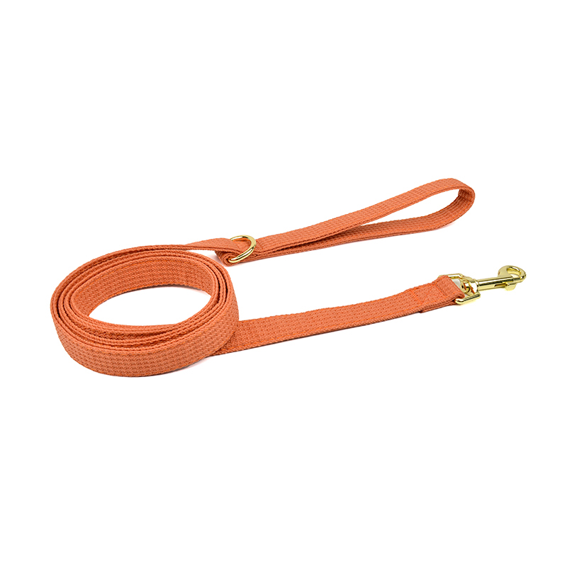 Solid Color Patterned Leash