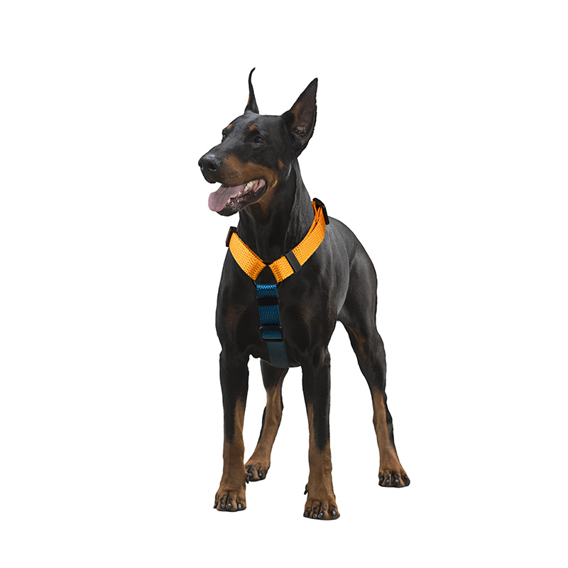 Solid Color Design H Dog Hanress 
