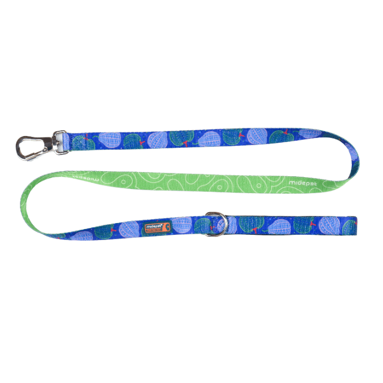 Pumpkin Double Sided Printed Dog Leash