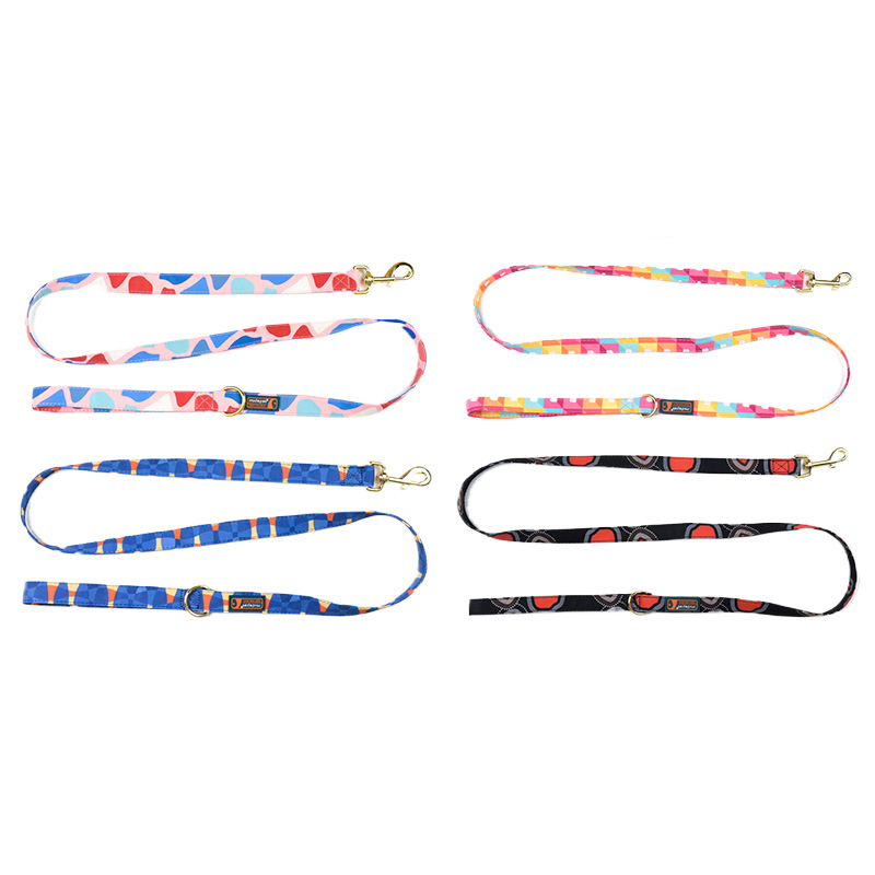 Colorful doodle dog leash