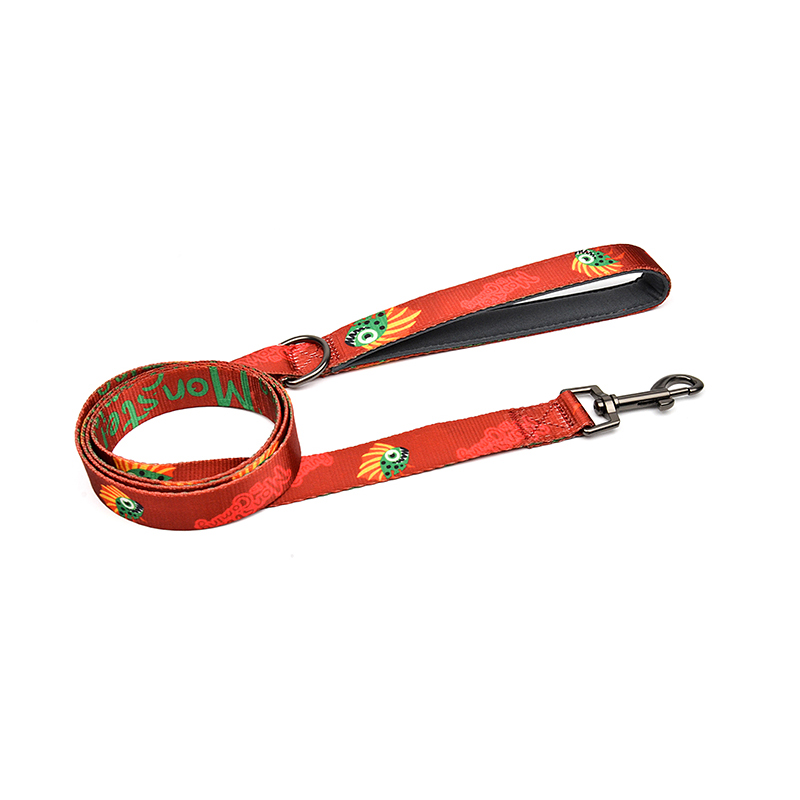 Monster is Coming Series Leash
