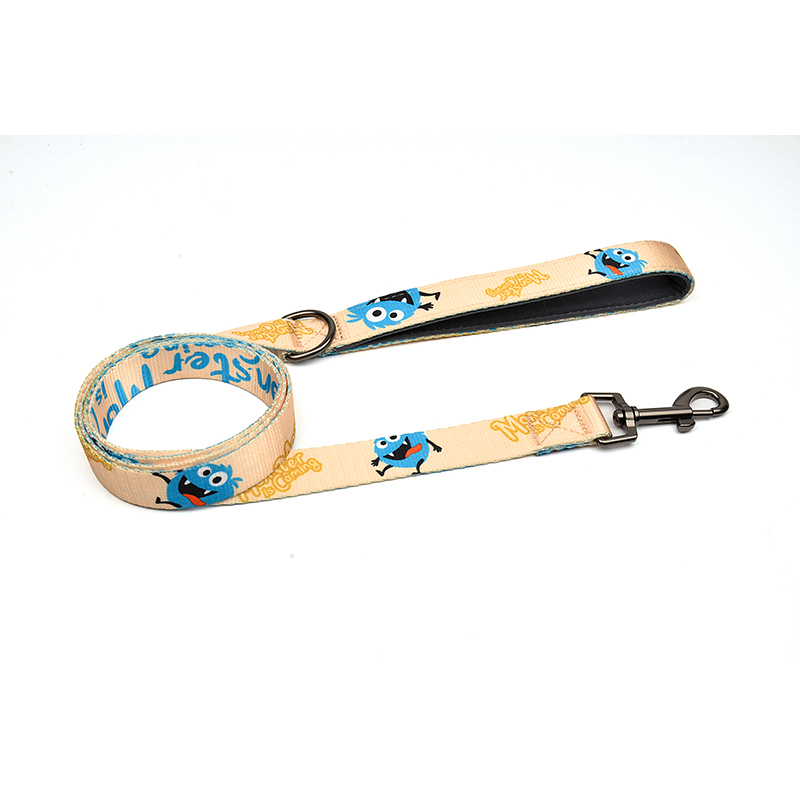 Monster is Coming Series Leash