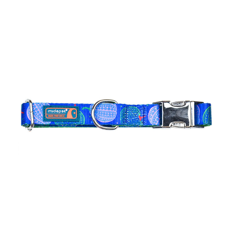 Pumpkin printing Dog Collar