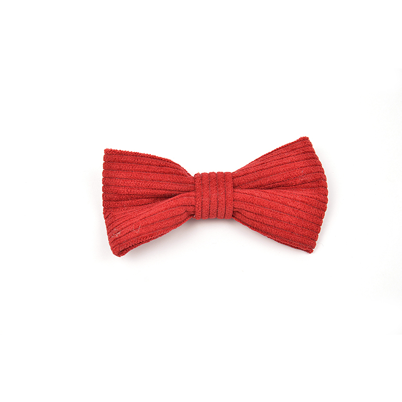 Pet Outing Corduroy bow tie