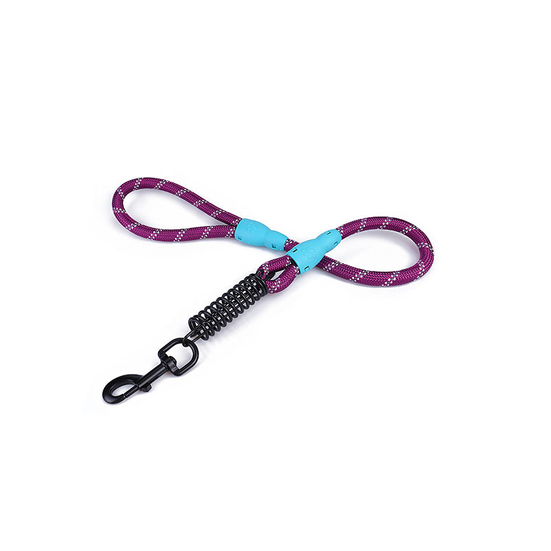 Shock Bsorbing short Leash for large dogs