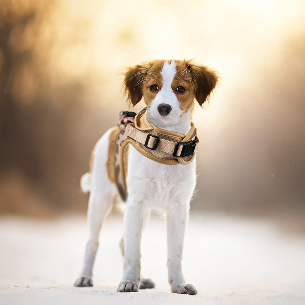 Dog Hooded Harness with Poop Bag Holder Coffee