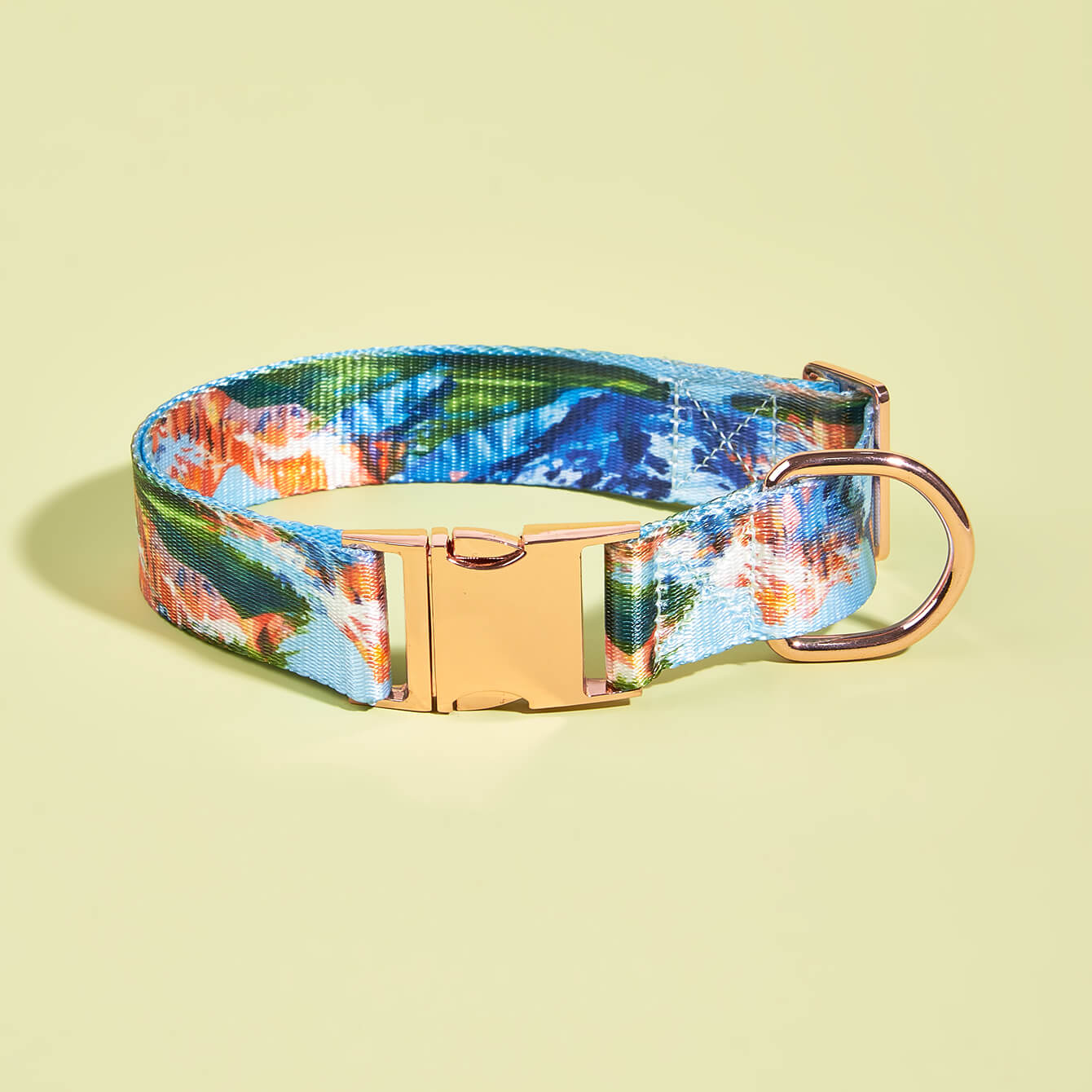 Geographical Landscape Printing Widen Dog Collar 