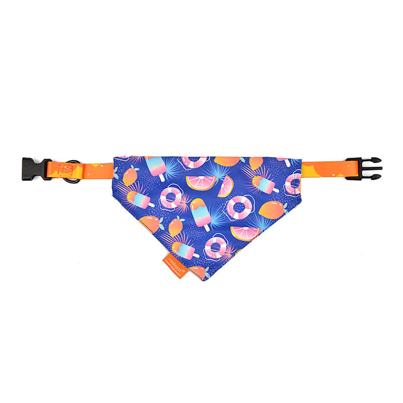 Dog Collar with Bandana Tropical Style
