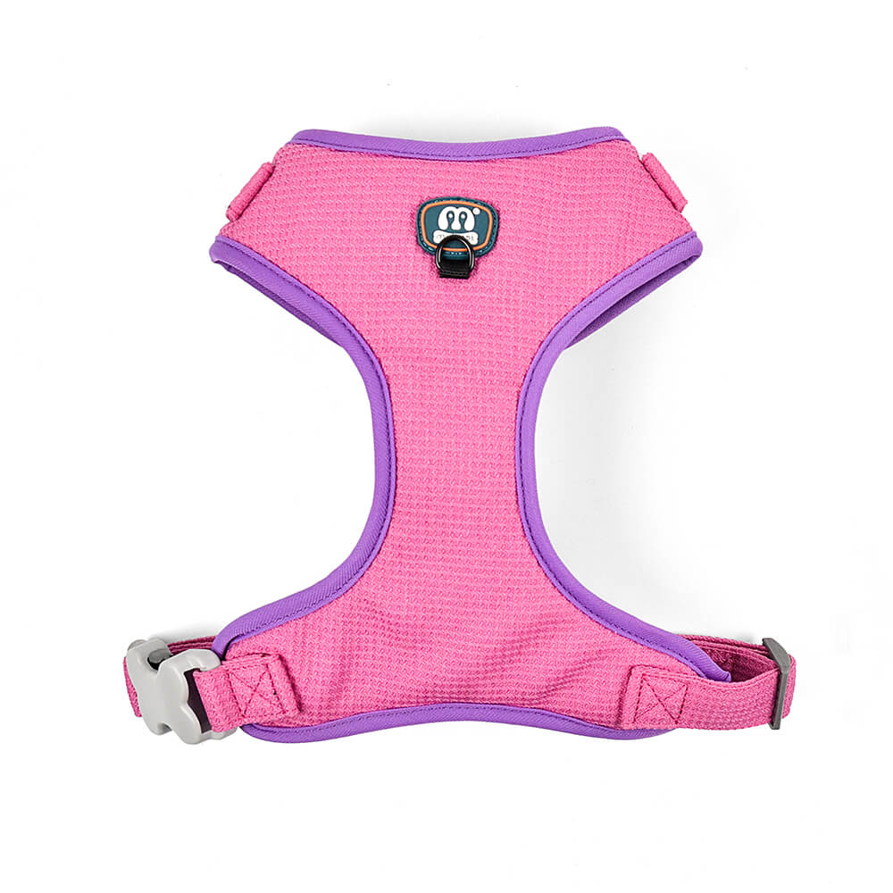 Solid Color Patterned Harness