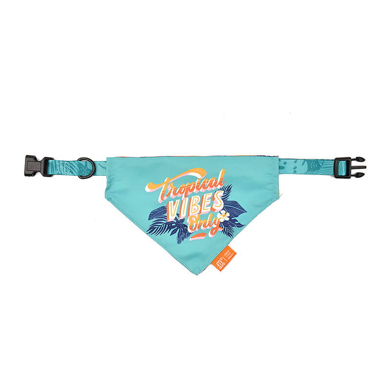 Dog Collar with Bandana Tropical Style