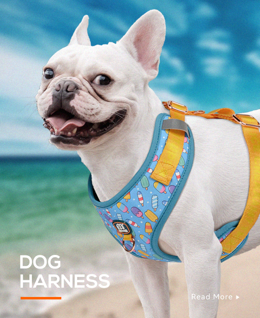 Harness