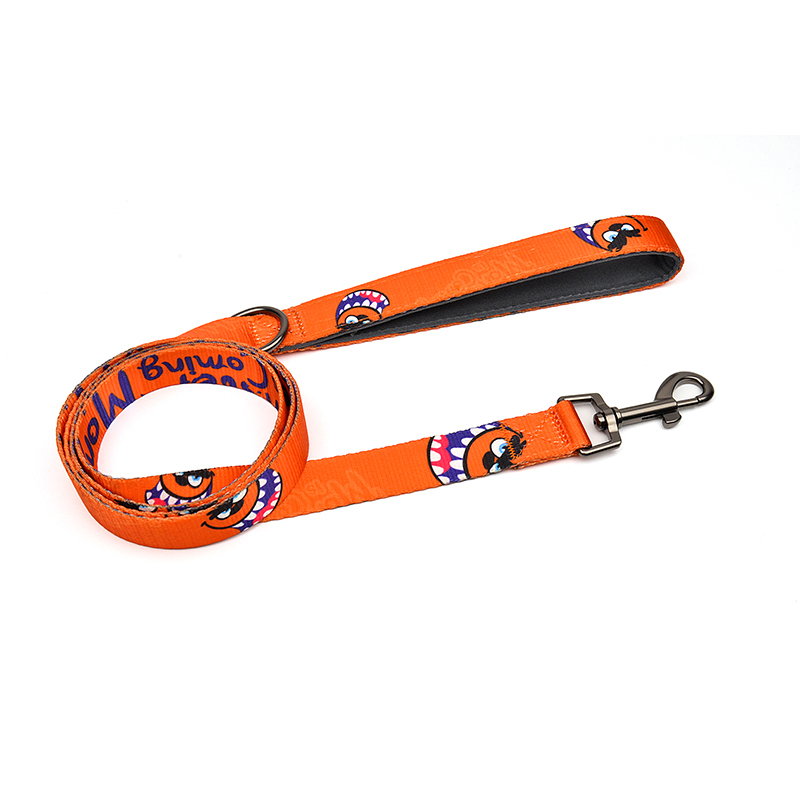 Monster is Coming Series Leash