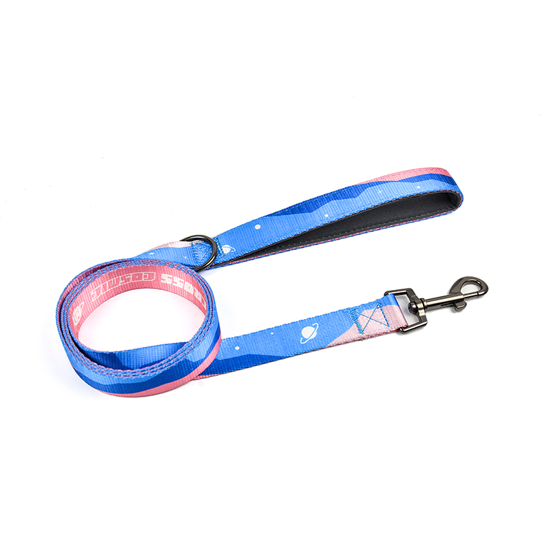 Crossing Cosmic Series Leash