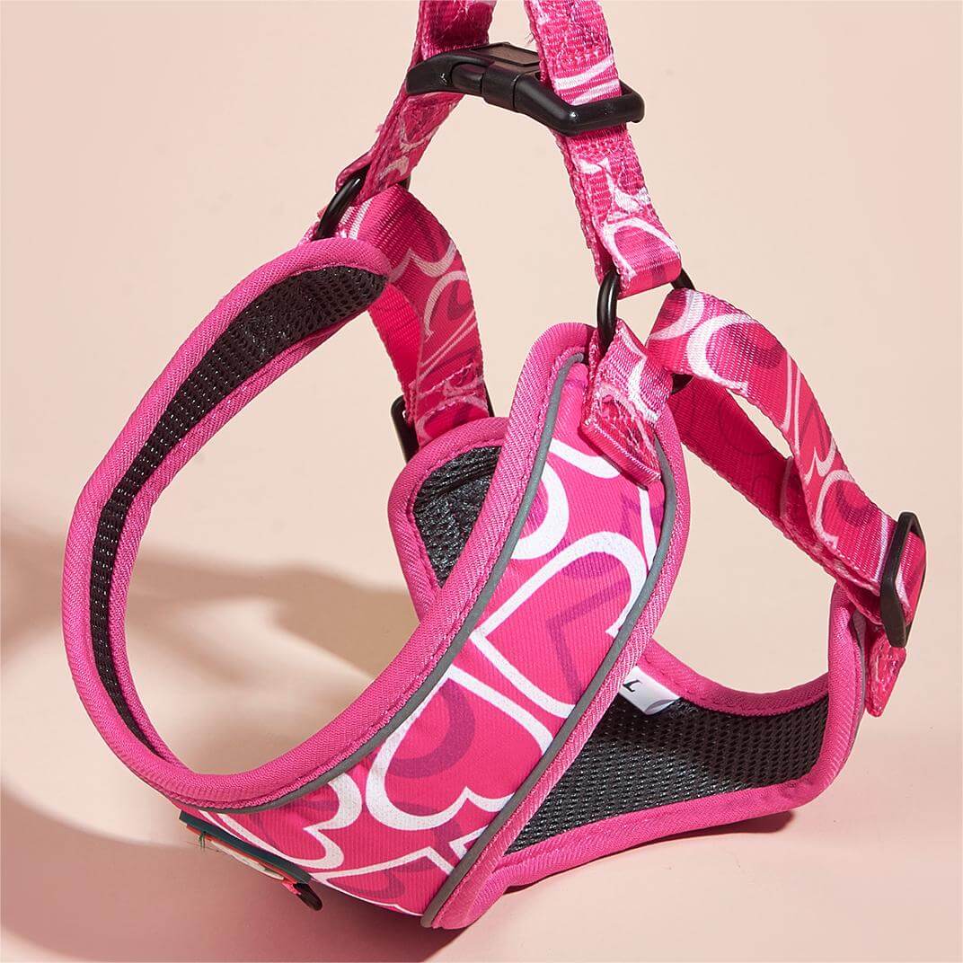 Heart Pattern Dog Harness for Small Dogs