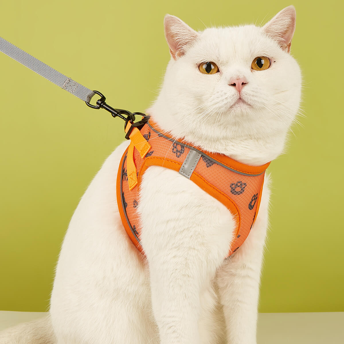 Full Body Escape Proof Cat Harness and Leash