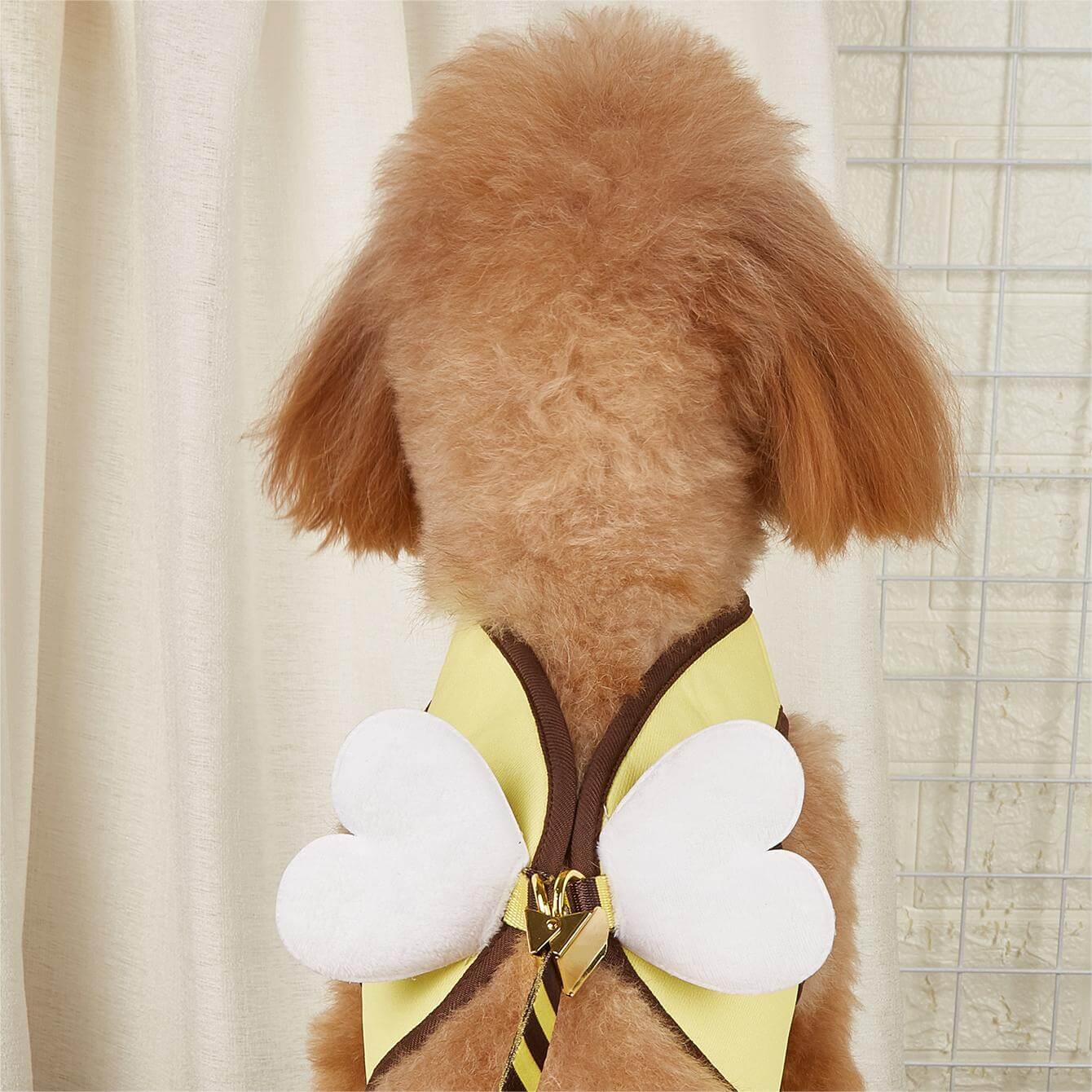 Little Bee Stripe Harness with Leash for Small Dog